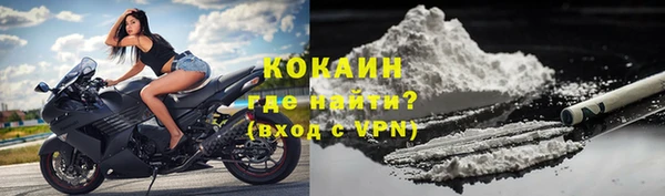 ГАЛЛЮЦИНОГЕННЫЕ ГРИБЫ Бородино