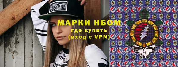 ГАЛЛЮЦИНОГЕННЫЕ ГРИБЫ Бородино