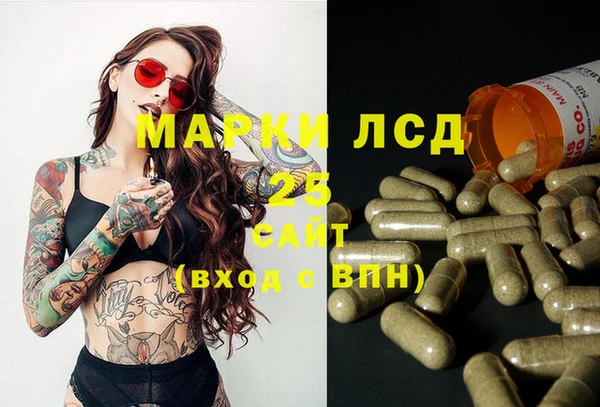 ГАЛЛЮЦИНОГЕННЫЕ ГРИБЫ Бородино