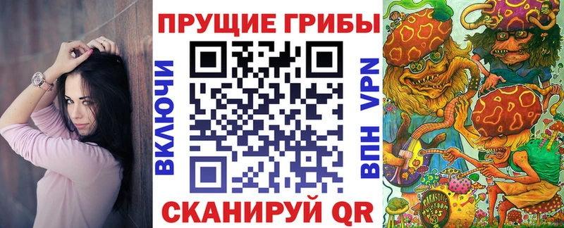 Купить где  Дальнереченск  Галлюциногенные грибы Magic Shrooms 